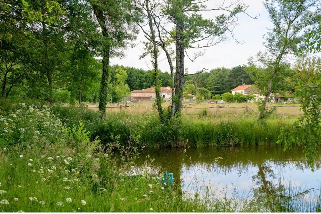 Villa L'Evasion En Pierre Piscine Et Etang Prive à Sevremoine Extérieur photo
